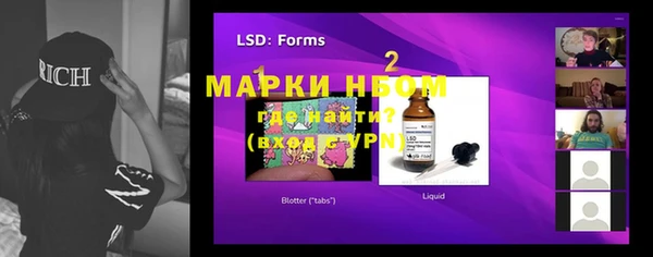 шишки Белоозёрский