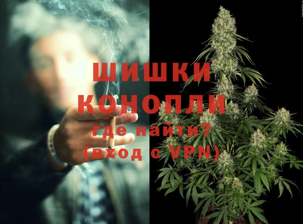 шишки Белоозёрский