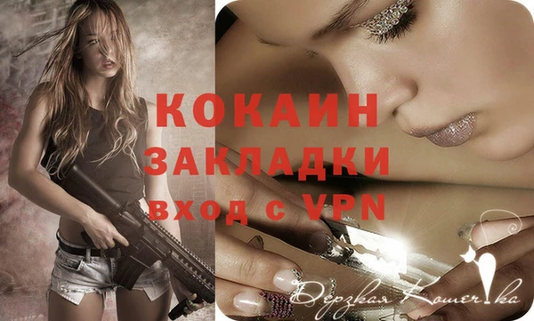шишки Белоозёрский
