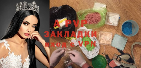 шишки Белоозёрский