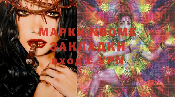 шишки Белоозёрский