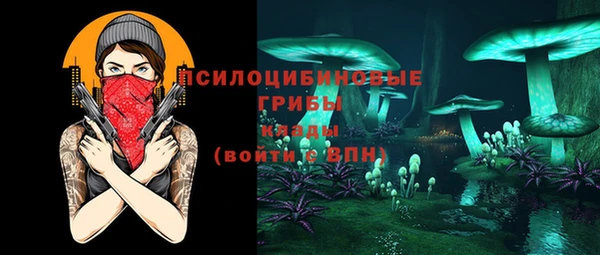 шишки Белоозёрский