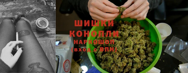 шишки Белоозёрский