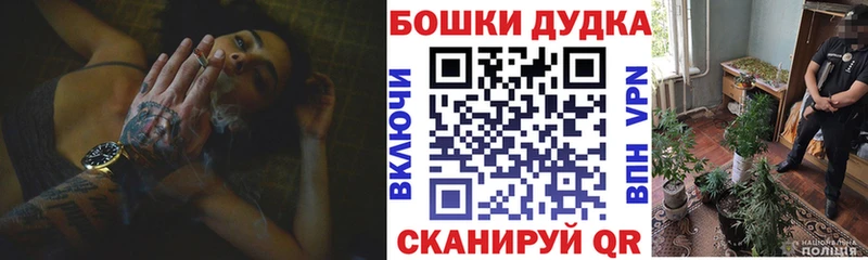 дарк нет клад  Соль-Илецк  Каннабис планчик 
